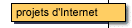 [web projets: le Web design, les projets Web, le marketing internet, le developpement des sites Web, les campagnes de promotion, l'accompagnement des ressources Web, les serveurs corporatifs Web et la creation des sites Web]